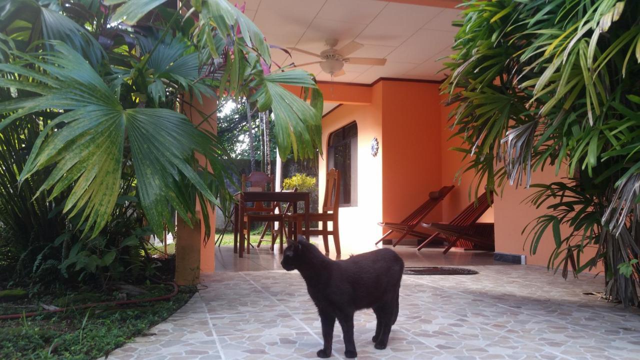Embassy House Bed & Breakfast ปัวร์โตคิมาเนซ ภายนอก รูปภาพ