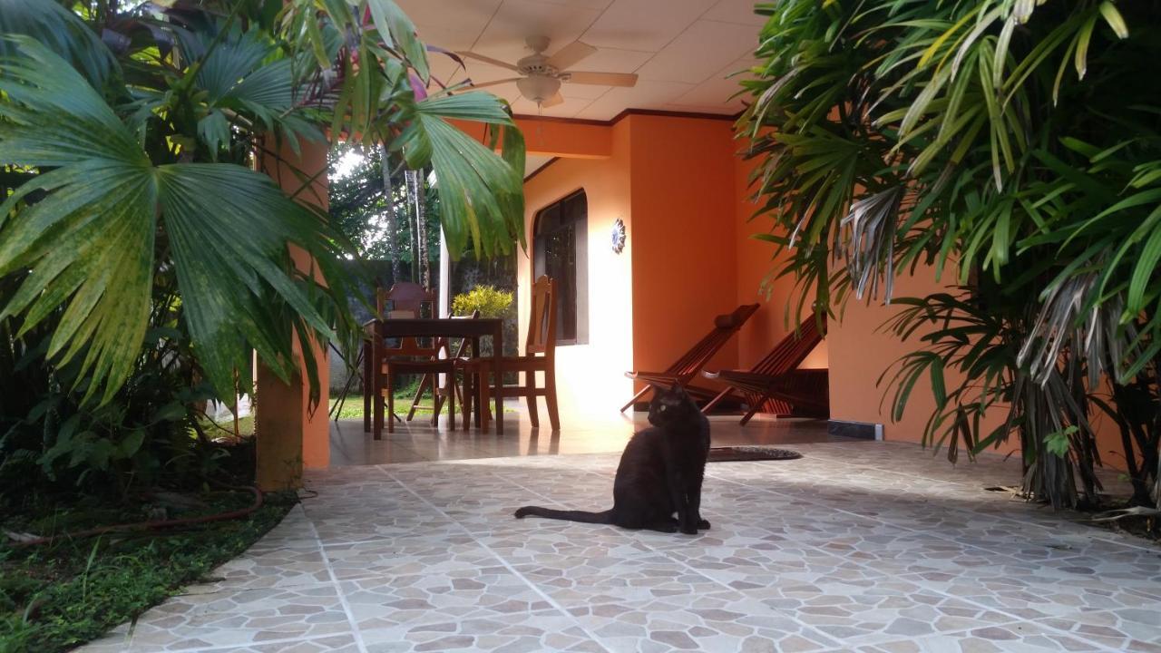 Embassy House Bed & Breakfast ปัวร์โตคิมาเนซ ภายนอก รูปภาพ